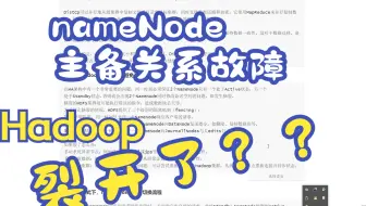 hadoop的脑裂