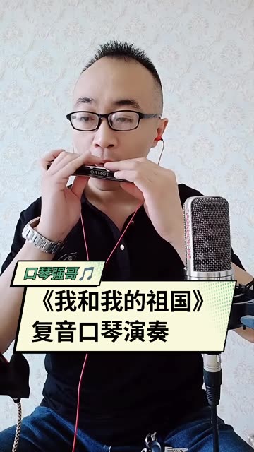 复音口琴压音图片