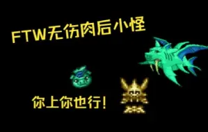 Download Video: 可能是FTW无伤猪鲨教学？（三王前配置）