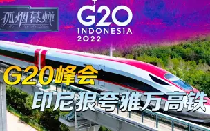 Скачать видео: G20峰会，印尼捧出雅万高铁，买了日本高铁的菲律宾，情绪很复杂