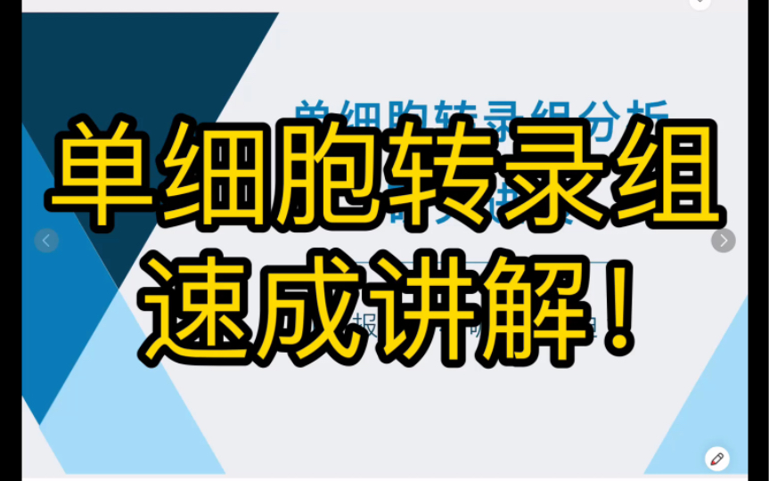 什么是单细胞转录组测序?速成讲解!【医学科研】哔哩哔哩bilibili