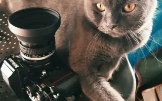 Nikon F3 搜索结果 哔哩哔哩弹幕视频网 つロ乾杯 Bilibili Nikon F3 搜索结果 哔哩哔哩弹幕视频网 つロ乾杯 Bilibili