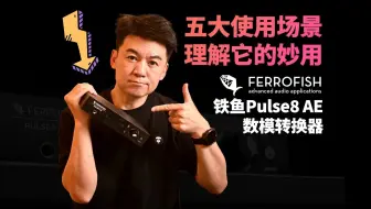 【五大使用场景 理解它的妙用】Ferrofish 铁鱼 Pulse8 AE 数模转换器评测
