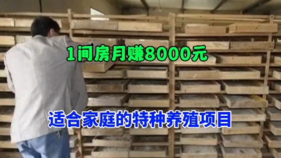 10平方就可以养殖,1个月能赚8000元,利润高销路广,适合你吗?哔哩哔哩bilibili