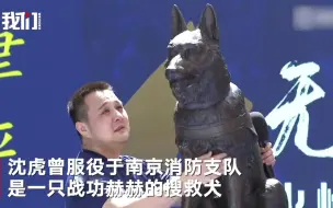 Télécharger la video: 汶川地震搜救犬沈虎遗像落成 昔日训导员抱雕像泣不成声