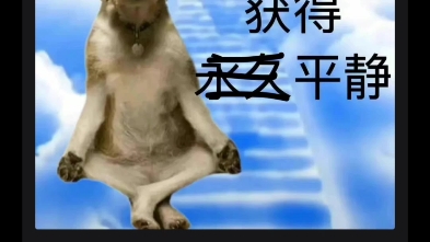 铭瑄暴论黄狗升天