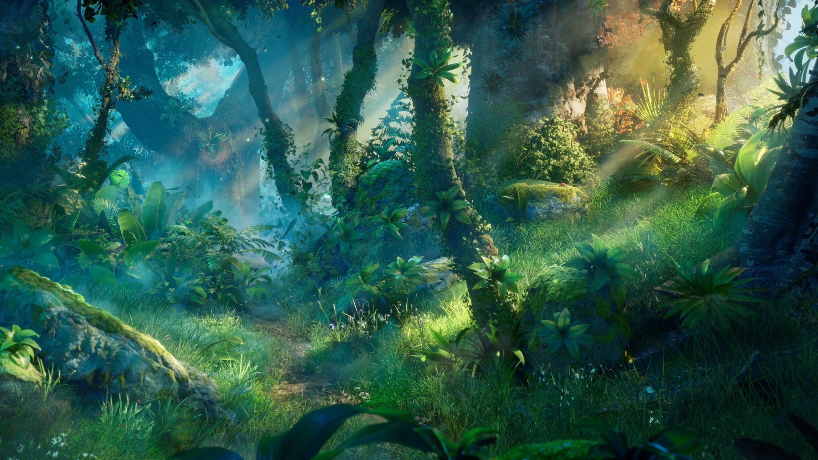 地编 奇幻森林练习