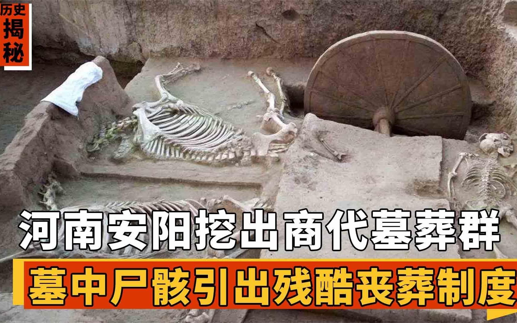 [图]河南安阳挖出商代墓葬群，墓中死状凄惨殉人，引出罪恶丧葬制度