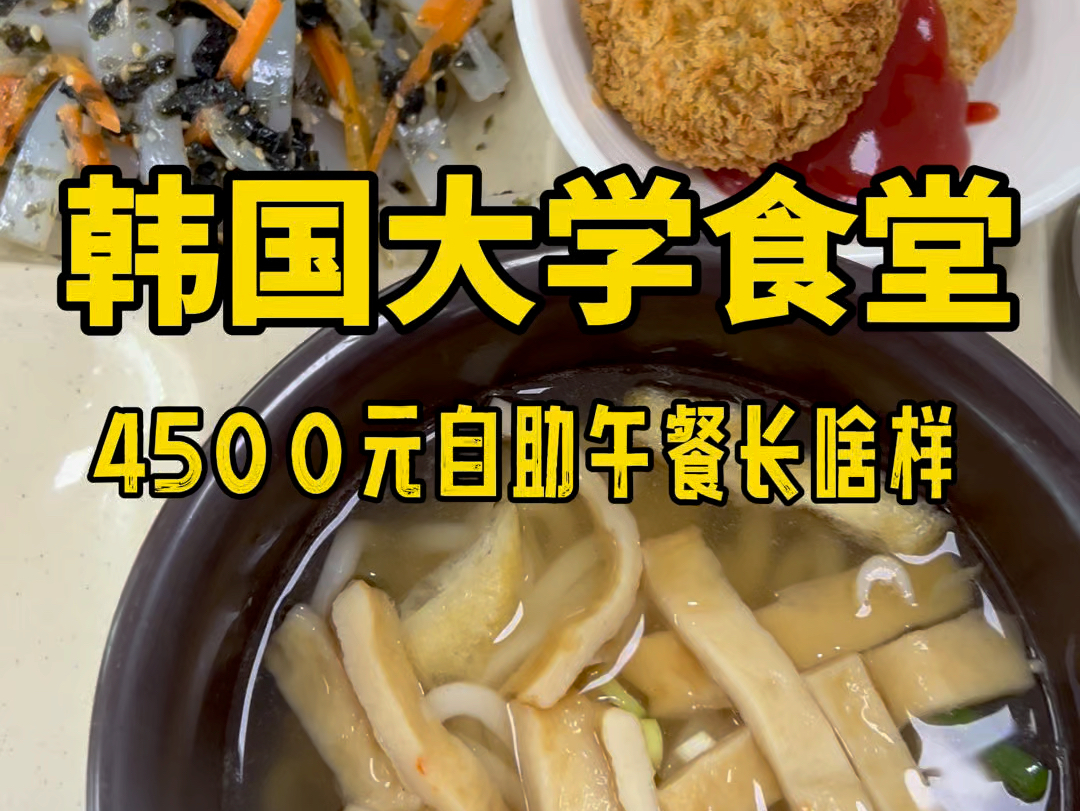 韩国大学食堂4500元自助午餐长啥样?今天居然被食堂的姨母亲自送菜了,还有谁?????!哔哩哔哩bilibili