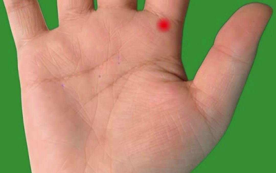 十分罕见的宝镜纹手相