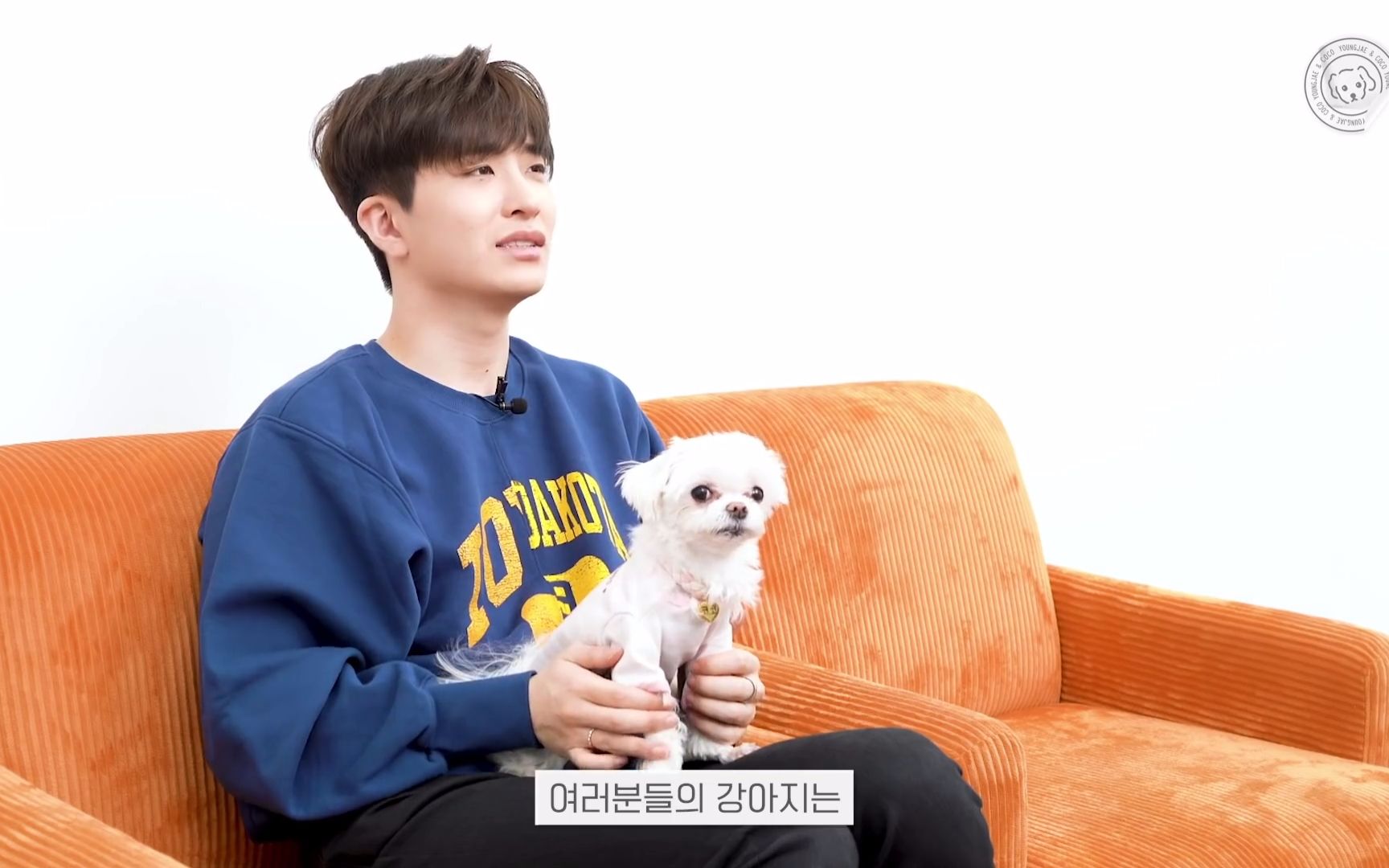 【崔荣宰】#5. got7 荣宰&coco sns hot 狗狗 挑战 210514