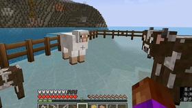Minecraft 体验第一视角下的羊羊繁殖 哔哩哔哩 つロ干杯 Bilibili