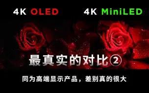 下载视频: 别太离谱！4K巅峰对比OLED VS MiniLED，不比不知道一比头吓掉