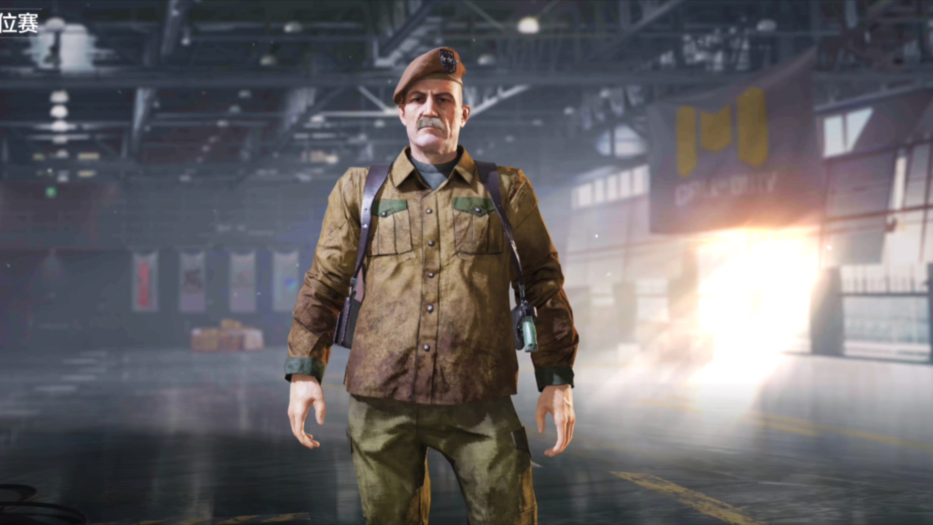 codm 【谢菲尔德-玉帛干戈】你这配色和赛季皮的名字完全对不上呀