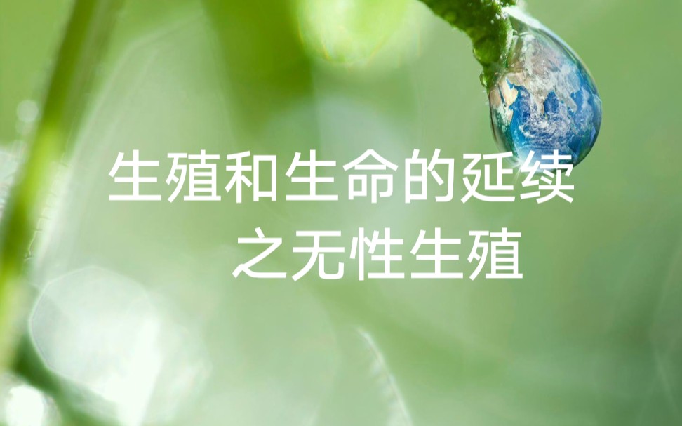 [图]高一生物 生殖和生命的延续