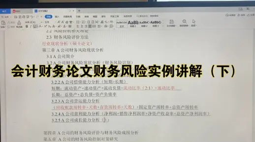 会计财务论文财务风险实例讲解