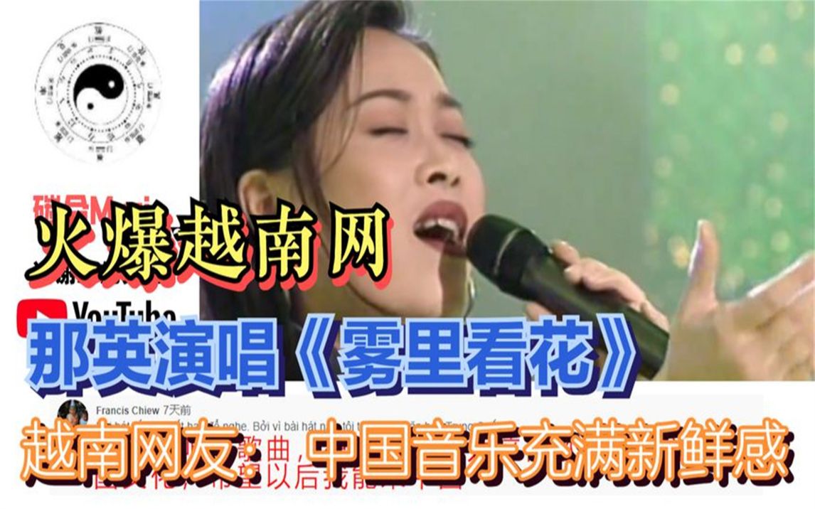 [图]那英唱《雾里看花》火爆越南网，越南网友：中国音乐充满新鲜感