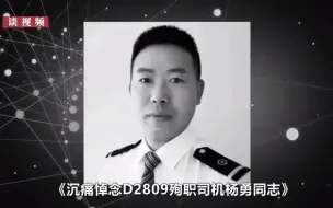 Descargar video: D2809殉职司机杨勇送别现场：群众自发走上街头，一声声呼唤令人心碎