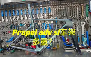 Télécharger la video: Propel adv sl 车架多重？一起来看看