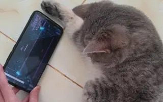 猫魔王 搜索结果 哔哩哔哩弹幕视频网 つロ乾杯 Bilibili