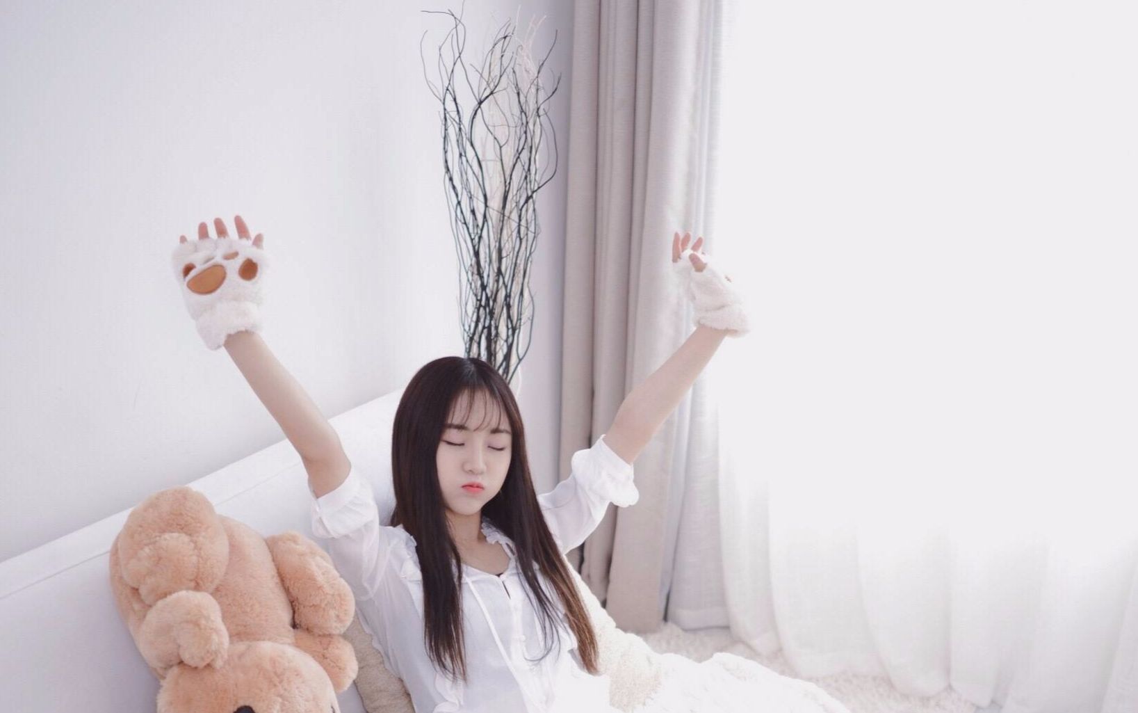 今天莫寒跪了吗