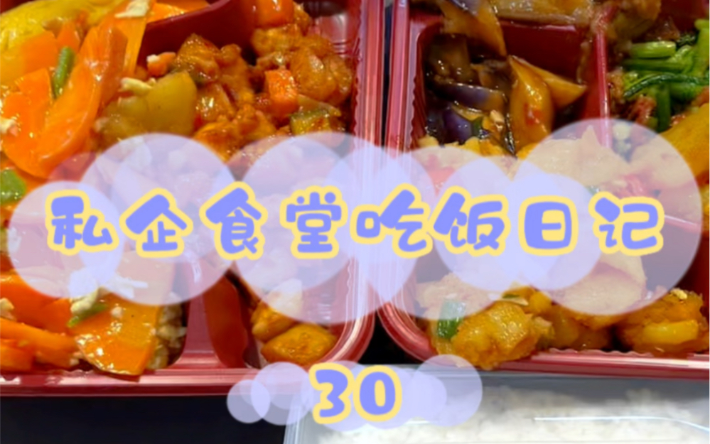 食堂减肥餐|给领导带饭|43.5元在上海能吃些啥哔哩哔哩bilibili