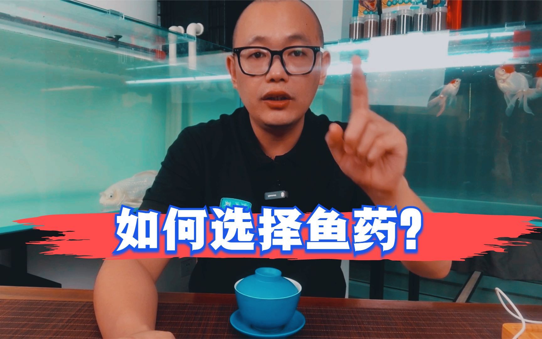 鱼得病了,如何选则鱼药?哔哩哔哩bilibili