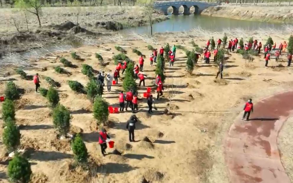 [图]青州：植树添新绿 共建生态家园