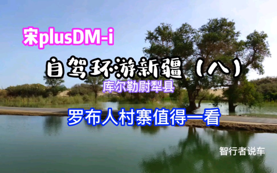 宋plus,Dmi自驾环游新疆(八)库尔勒尉犁县罗布人村寨值得一看哔哩哔哩bilibili