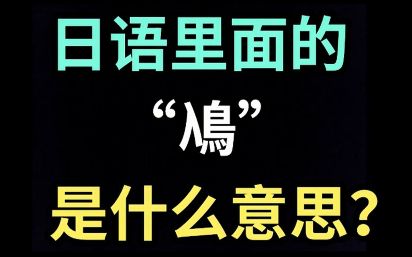 日语里的“鳰”是什么意思?【每天一个生草日语】哔哩哔哩bilibili