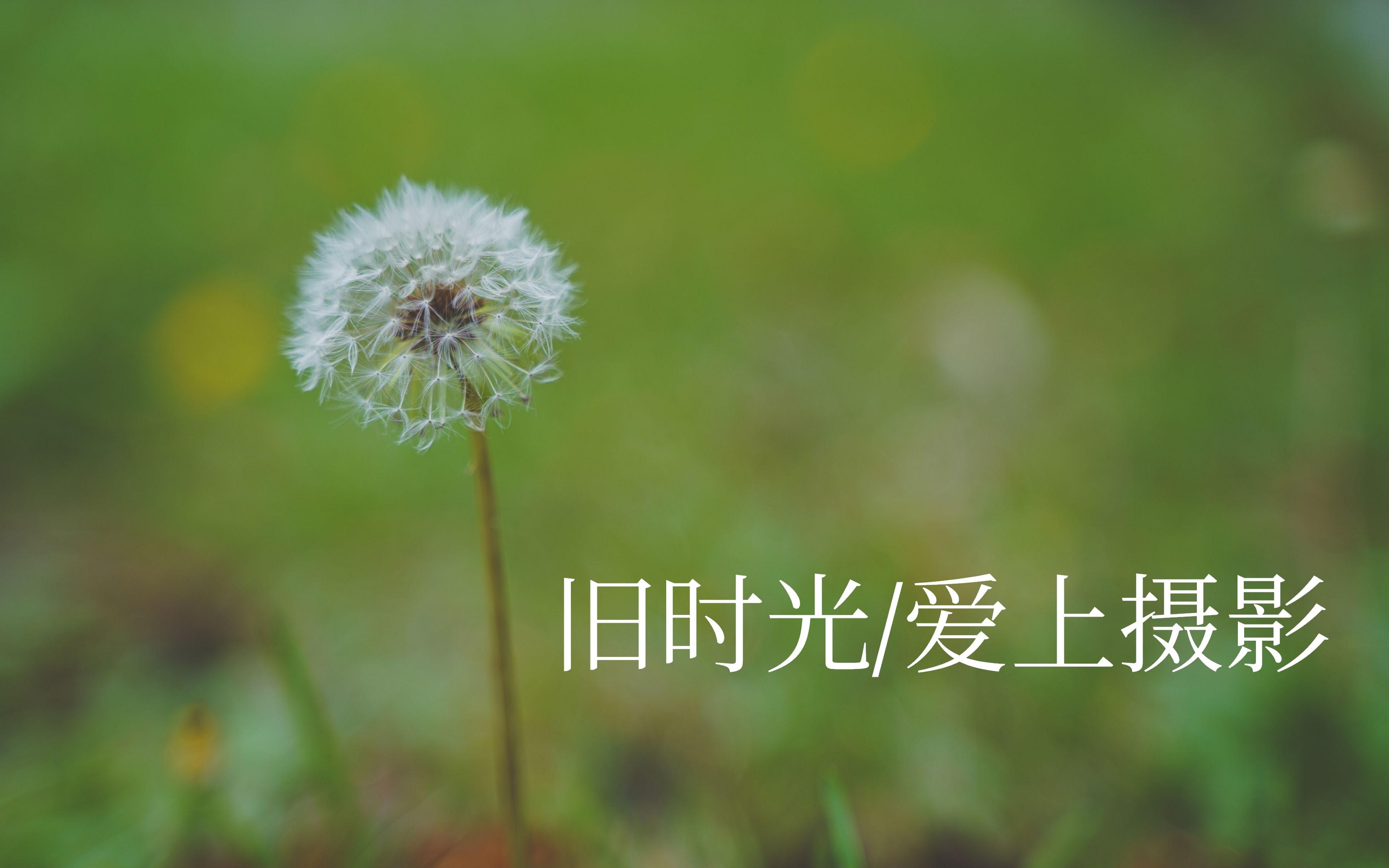 活动作品旧时光一名普通研究生的影集