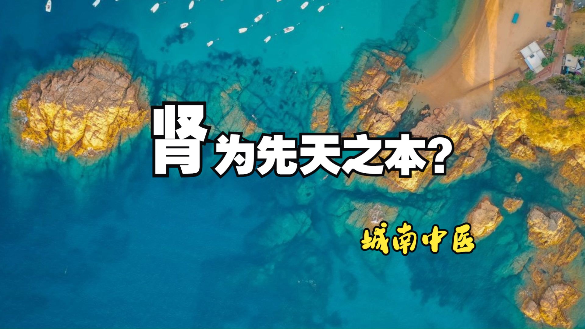 肾为先天之本 ?不对!大部分中医都学错了!哔哩哔哩bilibili