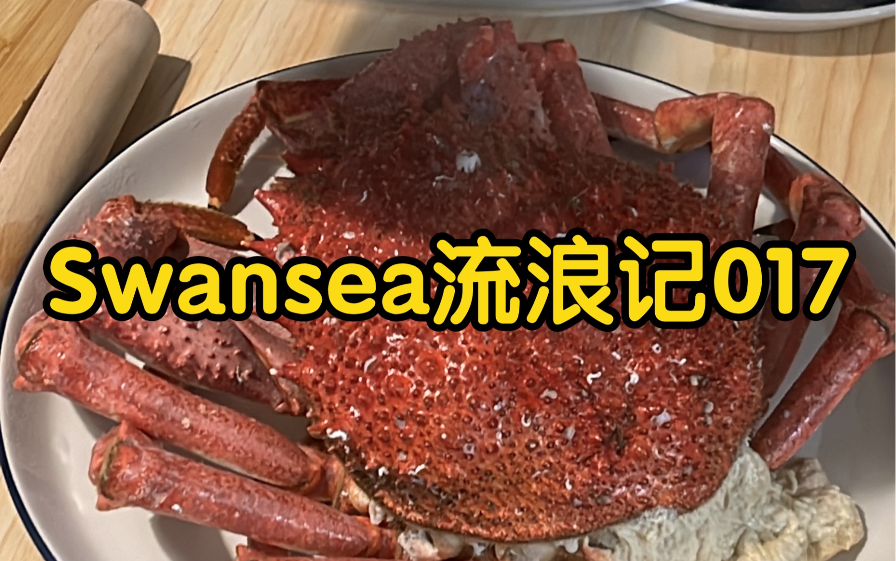 Swansea流浪记017哔哩哔哩bilibili