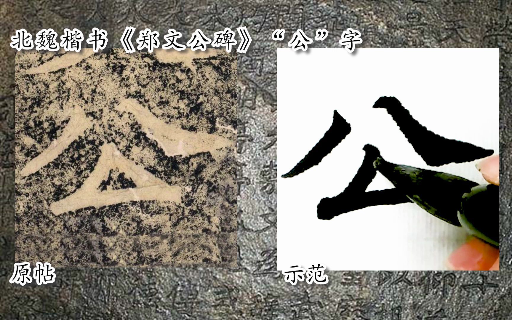 [图]【每日一字】书法视频，周东芬临北魏楷书《郑文公碑》“公”字