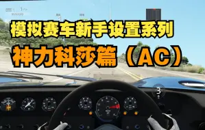 下载视频: 【模拟赛车设置-AC篇】新手入门设置指南之神力科莎