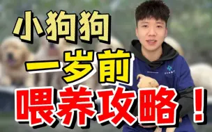 下载视频: 小狗一岁前，喂养攻略