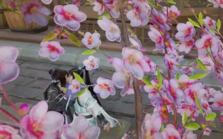 花言 搜索结果 哔哩哔哩 Bilibili