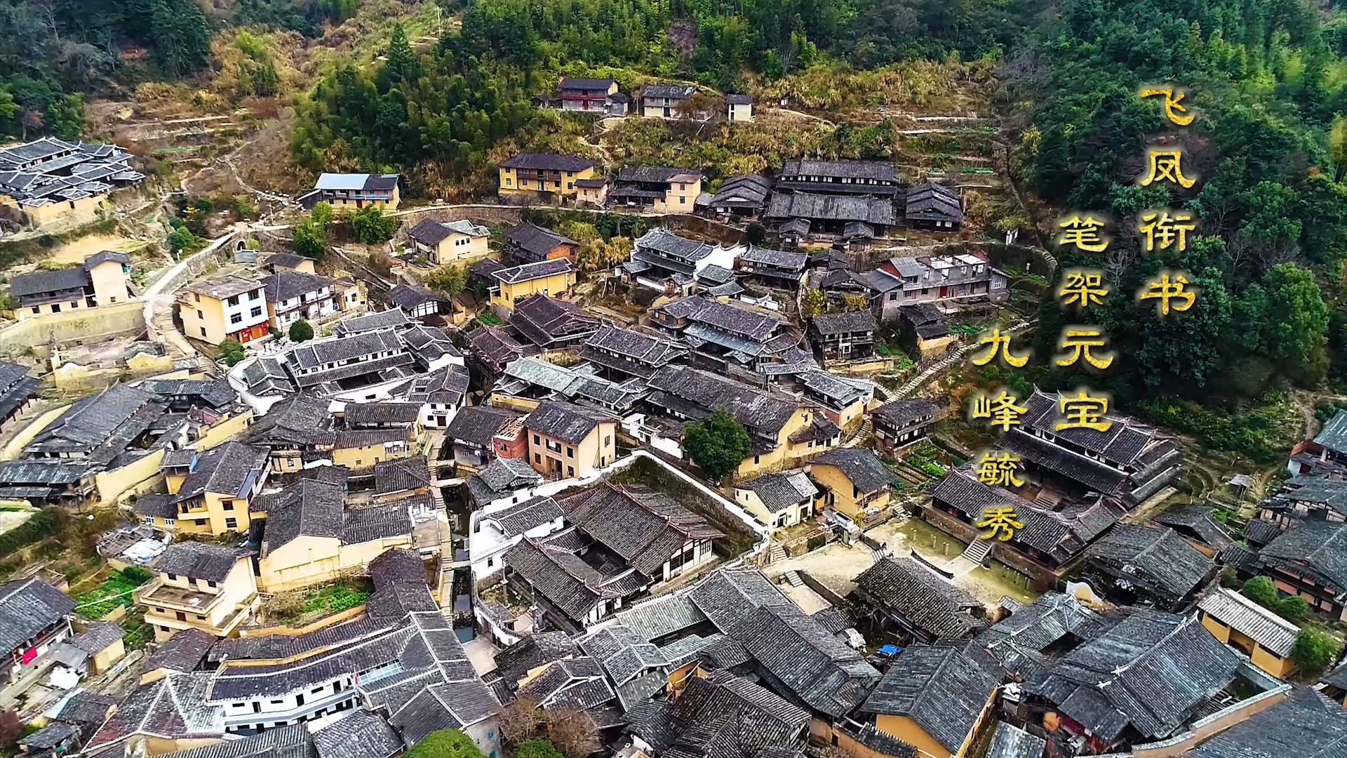 闽台宗祠文化第二季:蔡氏《凤栖桂峰 读书人家》