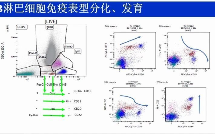 血液肿瘤治疗后免疫表型流式检测哔哩哔哩bilibili