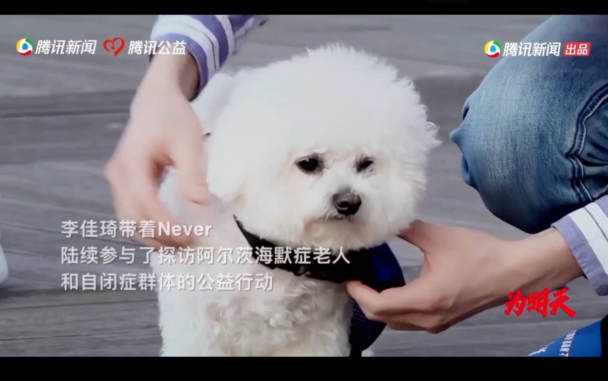 99公益直播never&李佳琦哔哩哔哩bilibili