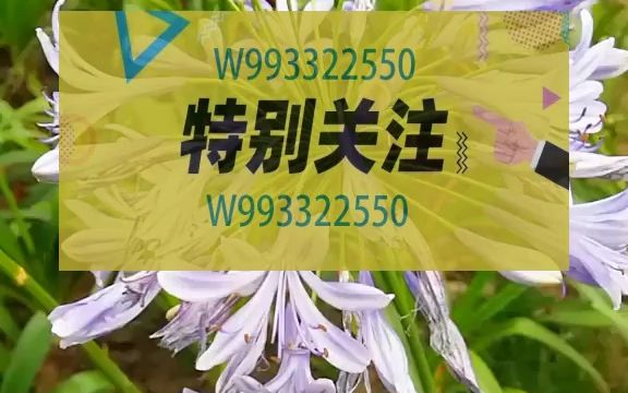 PT健身华哥:百日胖于晏 身材打造课程哔哩哔哩bilibili