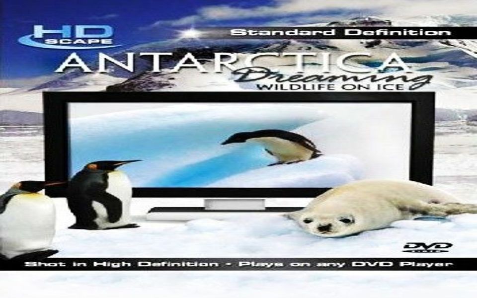 [图]南极洲之梦第三集Antarctica Dreaming Extra Antarctic Peninsula South Georgia Island