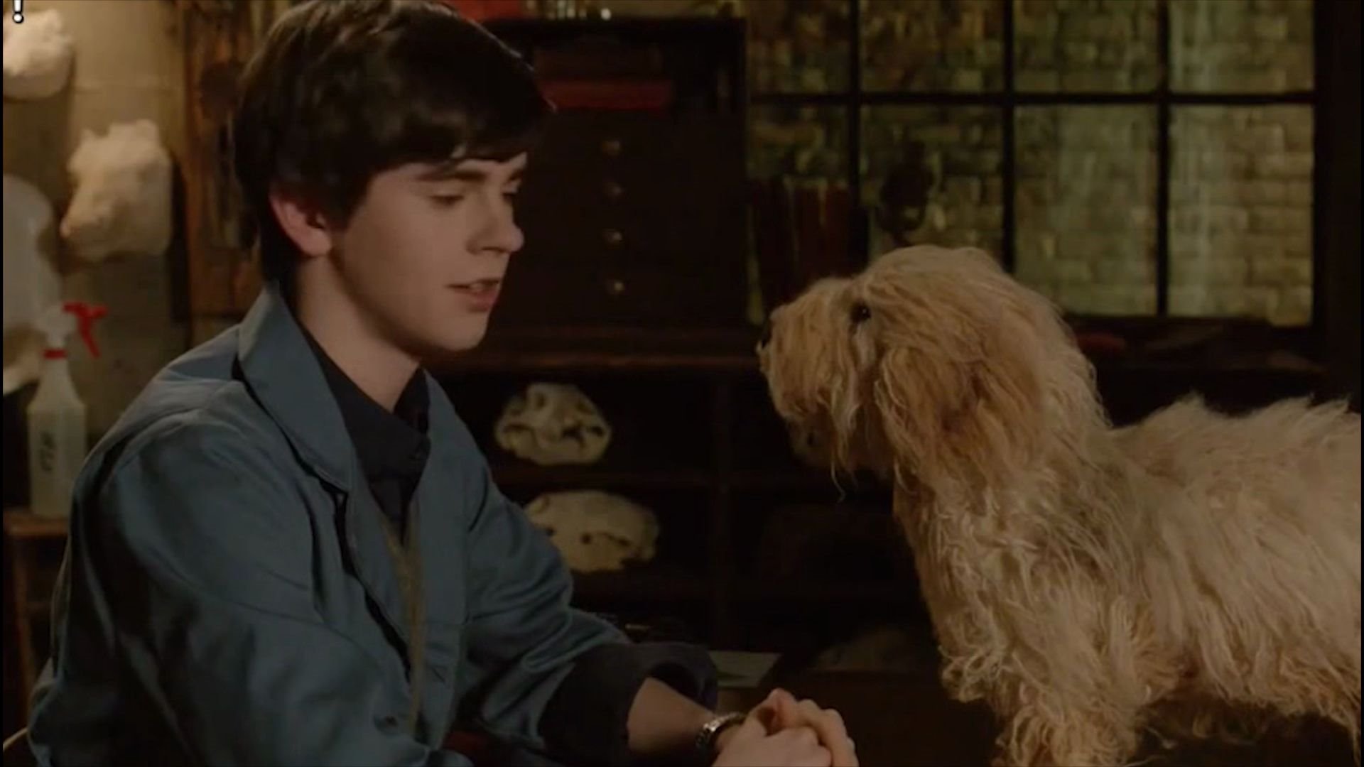 弗莱迪海默海默小天使人间温柔