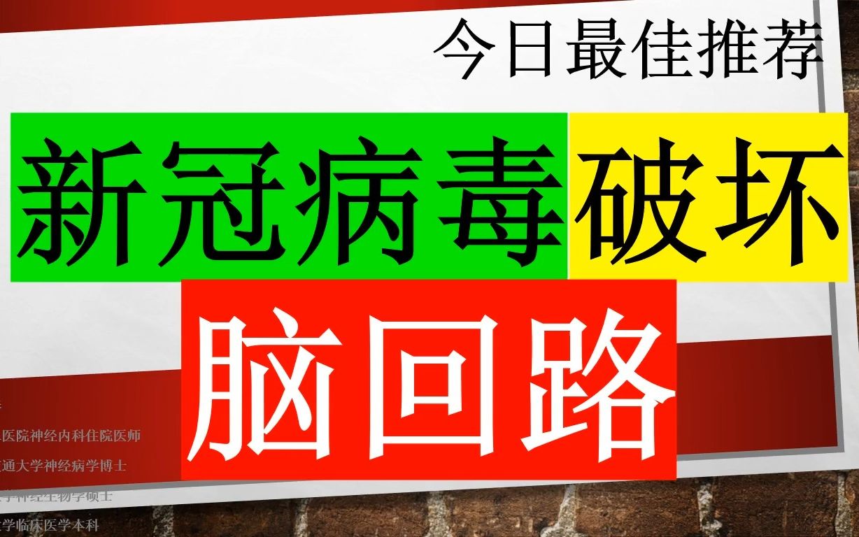 [图]今日最佳推荐：新冠病毒感染会破坏脑回路，引起认知损伤