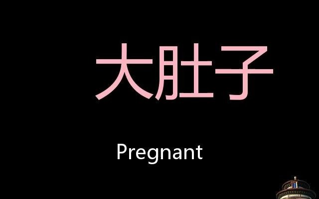 [图]大肚子 Chinese Pronunciation pregnant