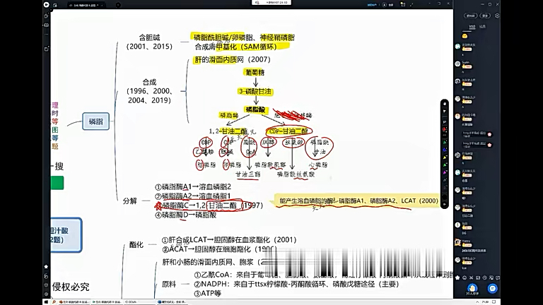 5.磷脂代谢,胆固醇代谢,胆汁酸 复习自用