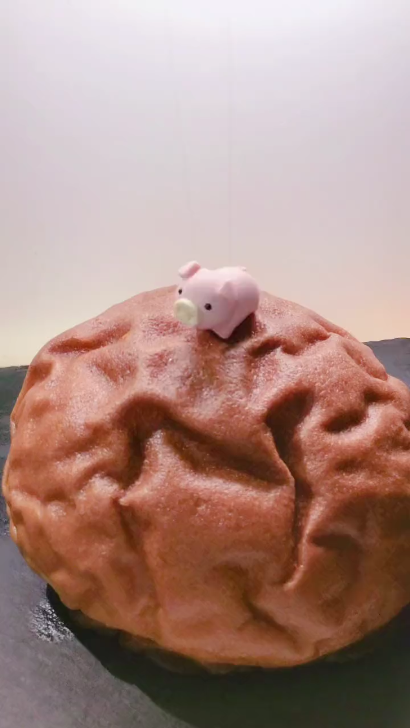 这只小猪猪在啃面包呢