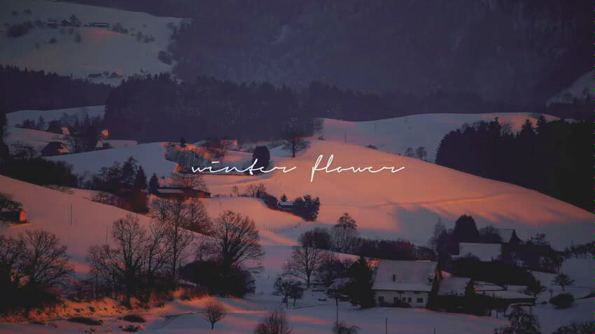 [图]♥RM♥ 雪中梅 winter flower piano ver. Younha(FEAT:RM)