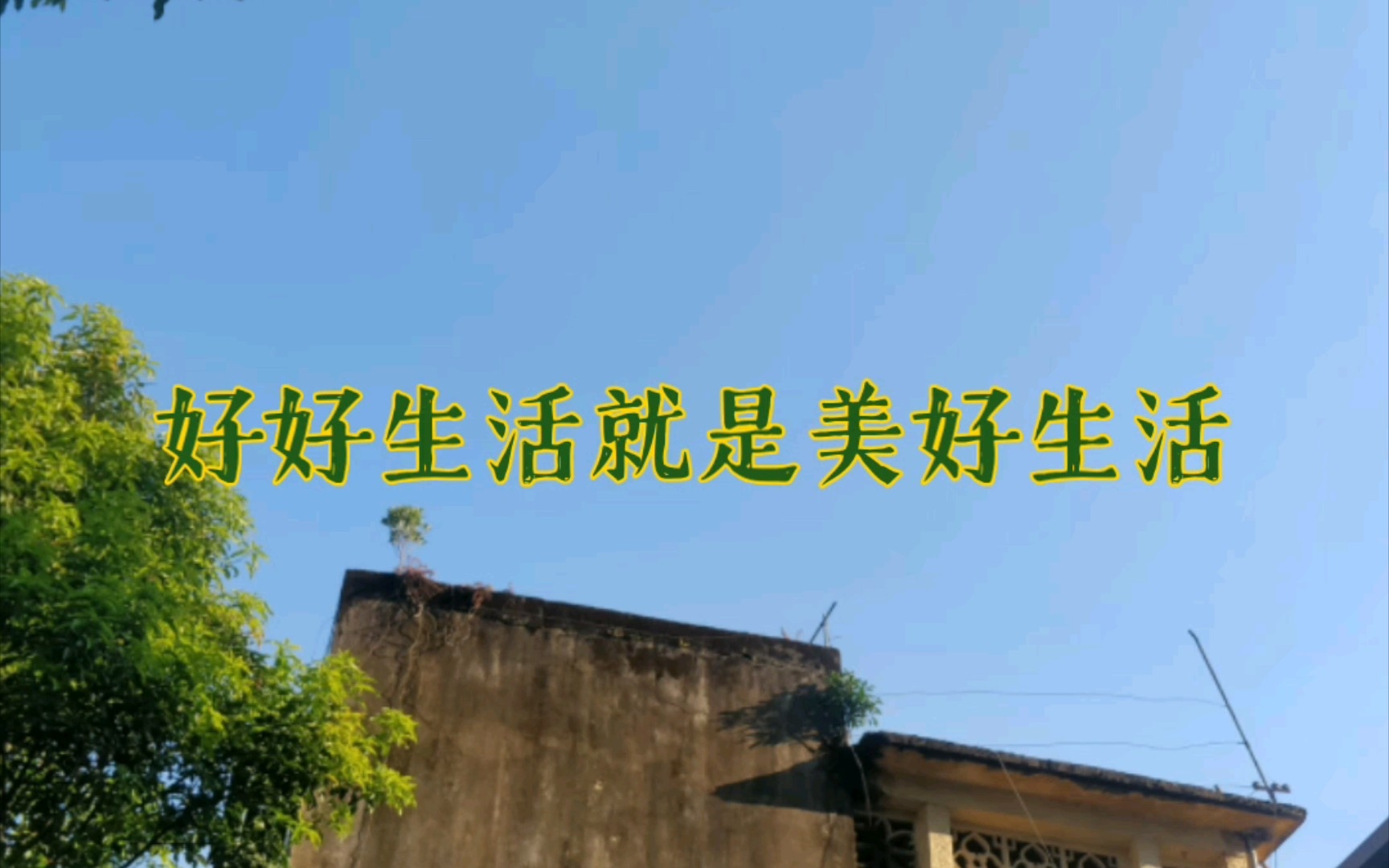 好好生活就是美好生活斗胆尤克里里翻唱