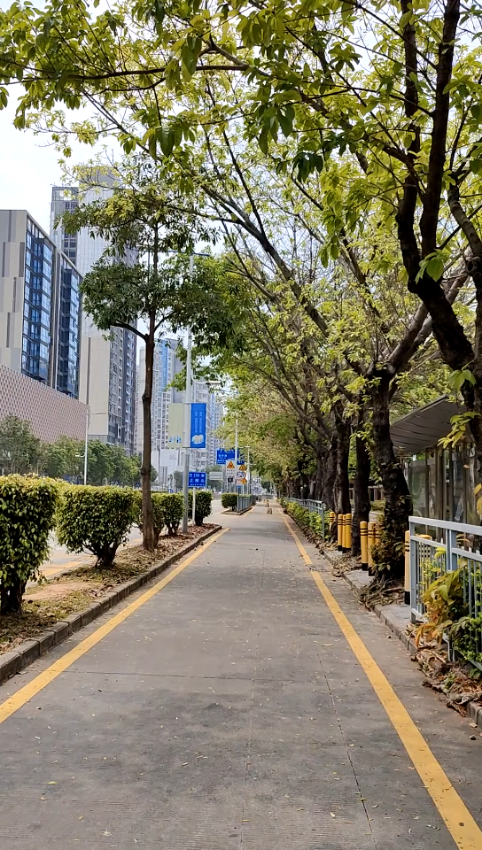 深圳疫情街道图片图片